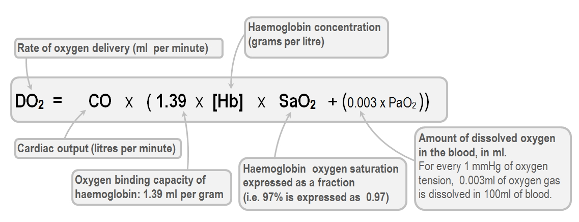 Lactic acidosis due to severe hypoxia Deranged Physiology